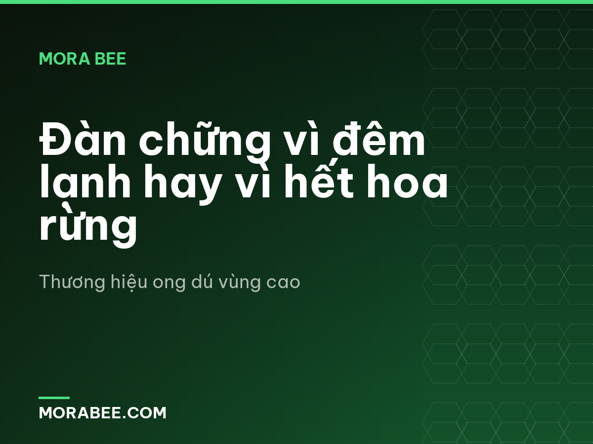 Đàn chững vì đêm lạnh hay vì hết hoa rừng