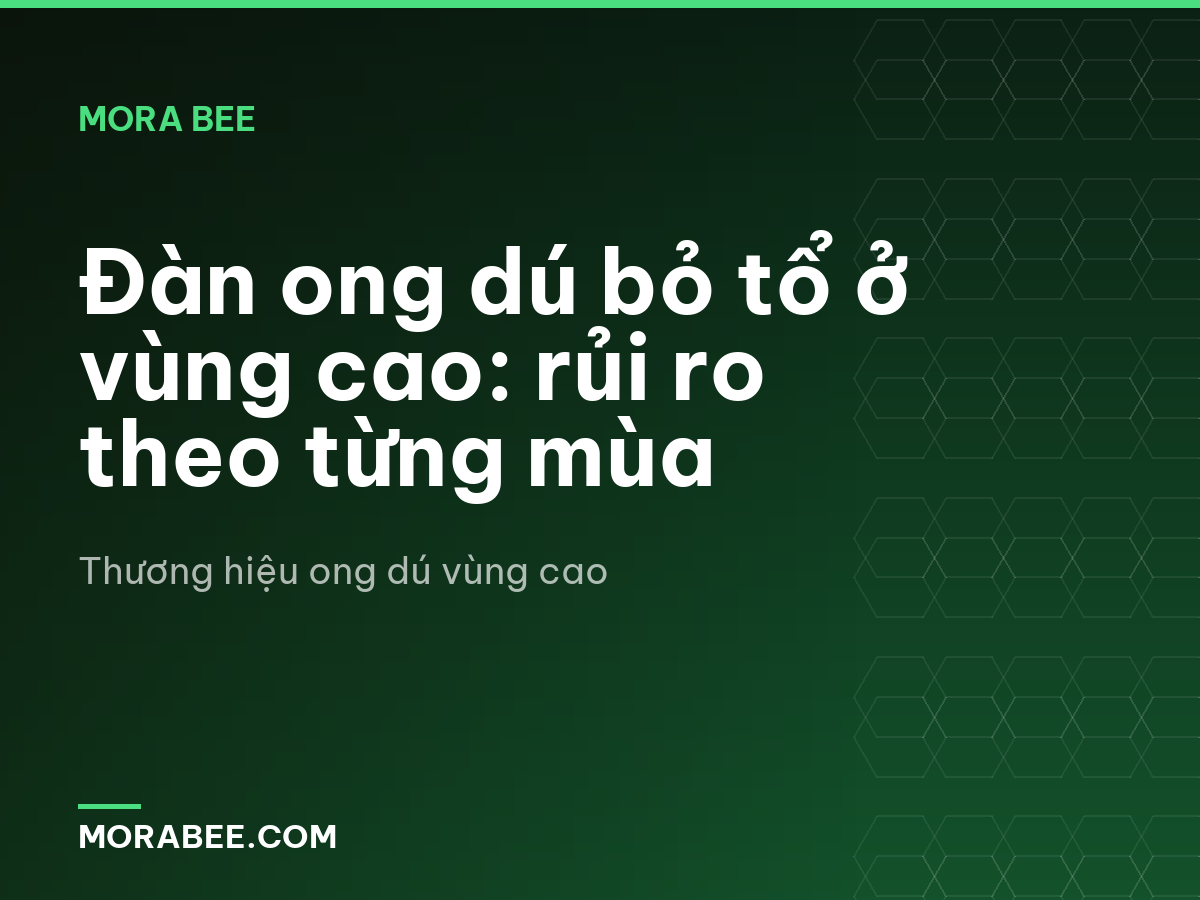 Đàn ong dú bỏ tổ ở vùng cao: rủi ro theo từng mùa