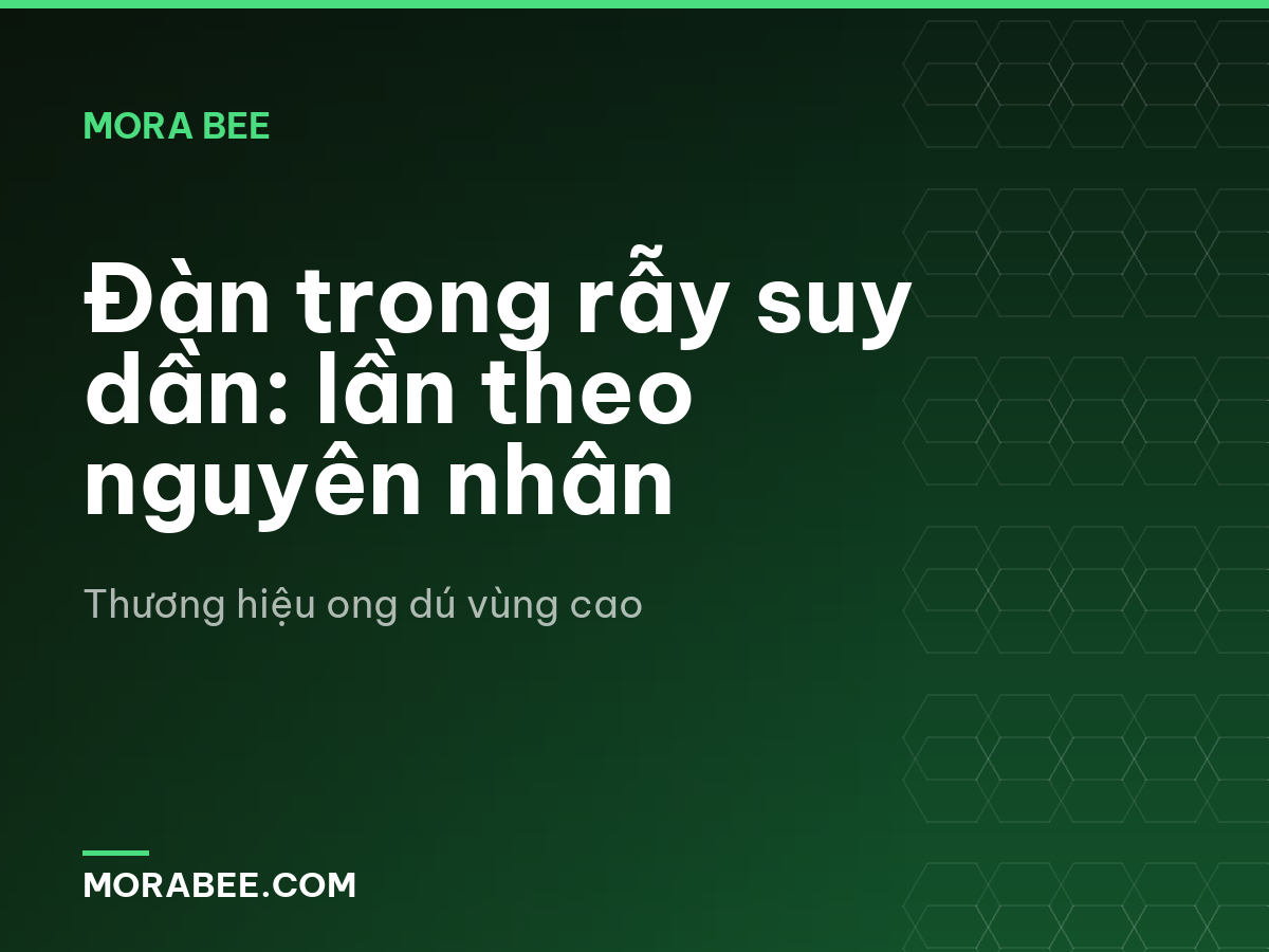 Đàn trong rẫy suy dần: lần theo nguyên nhân