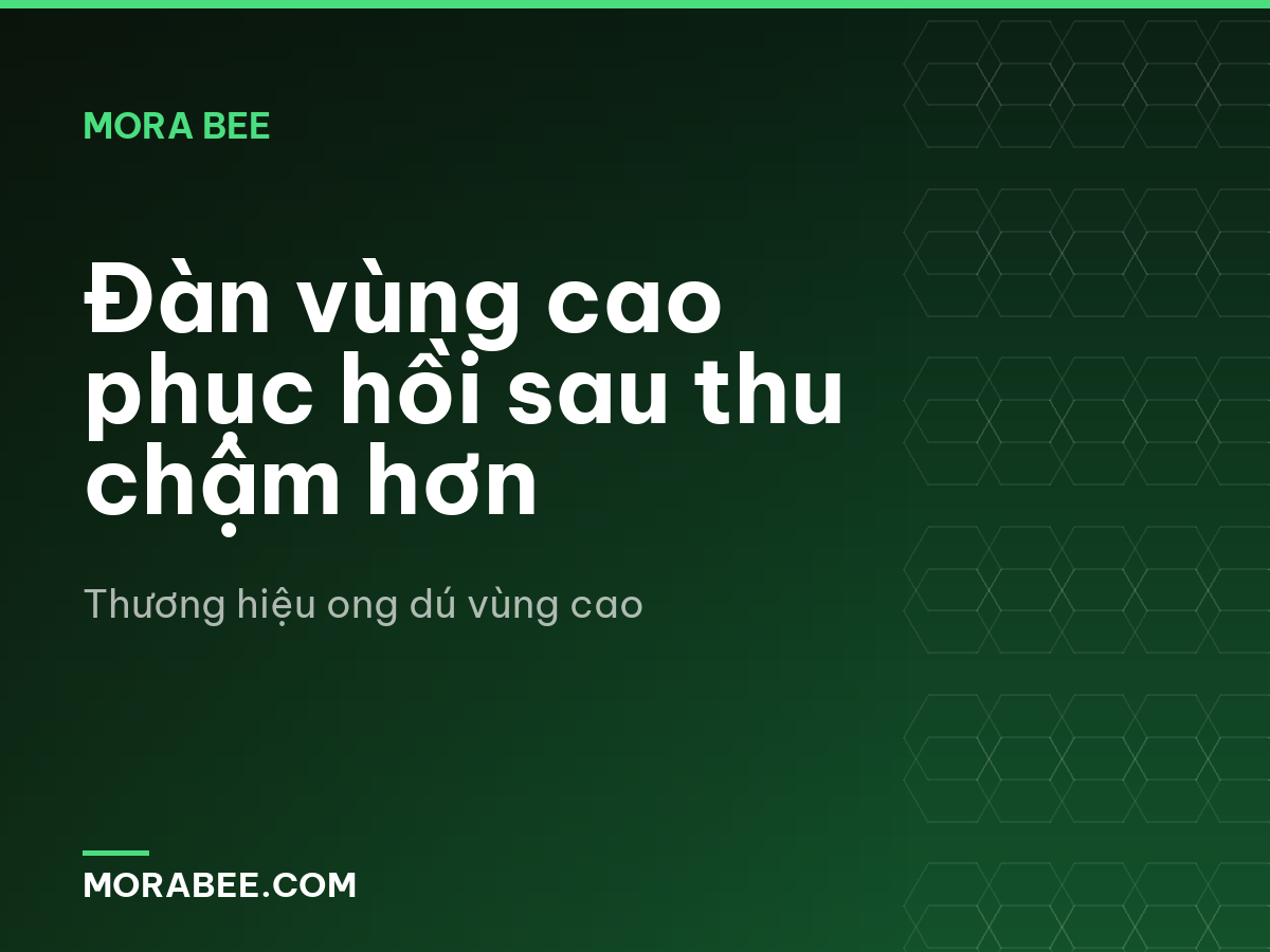Đàn vùng cao phục hồi sau thu chậm hơn