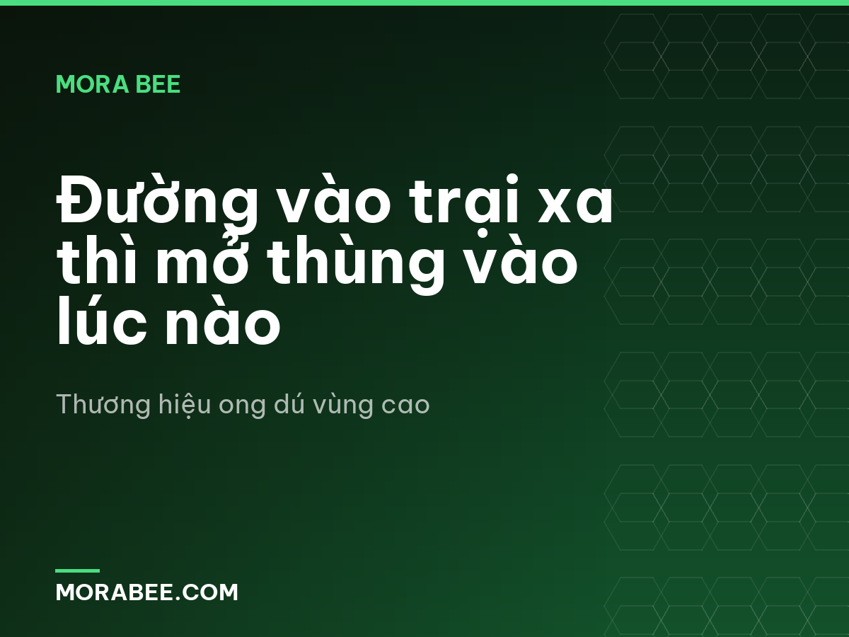 Đường vào trại xa thì mở thùng vào lúc nào