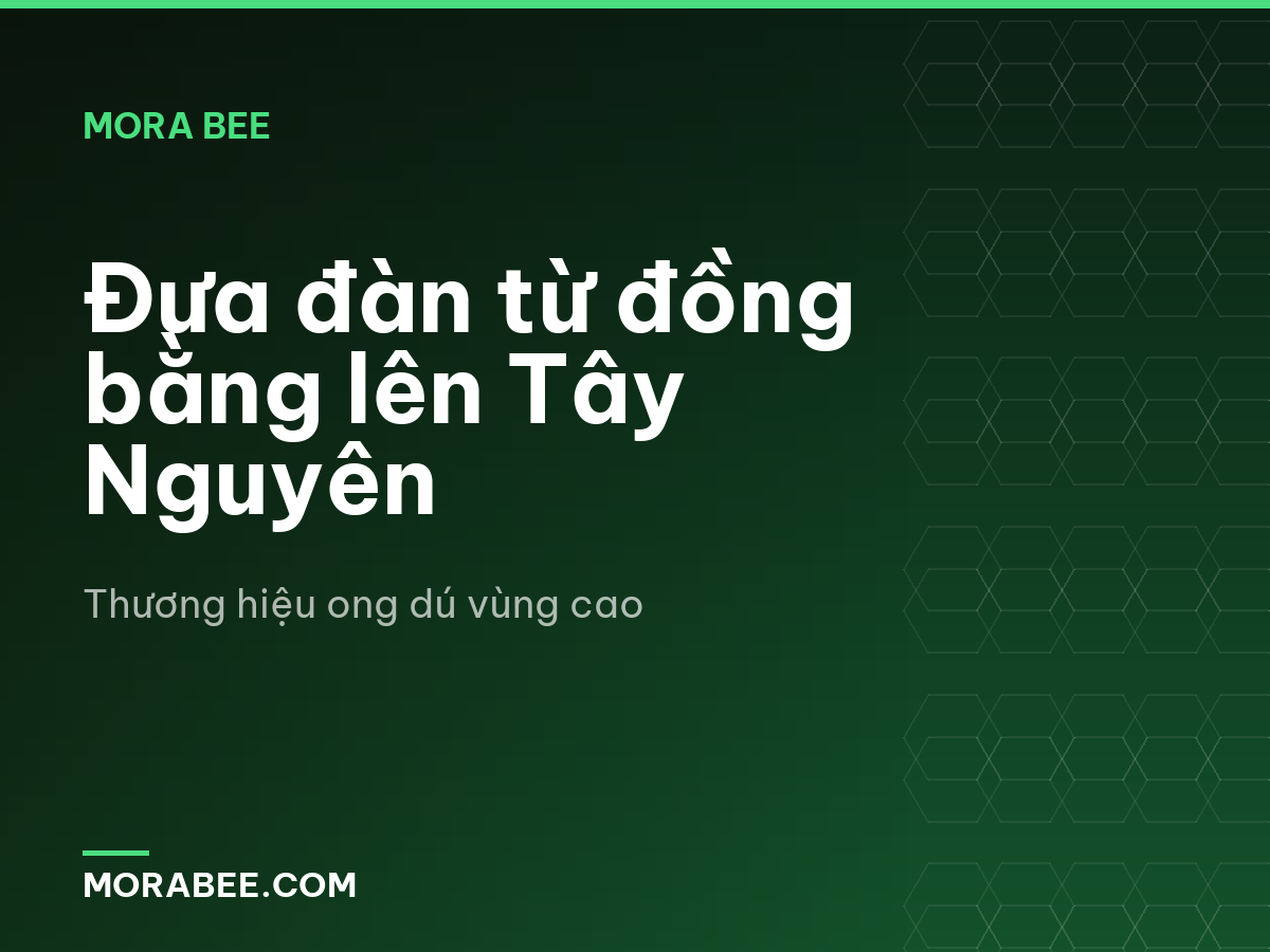 Đưa đàn từ đồng bằng lên Tây Nguyên