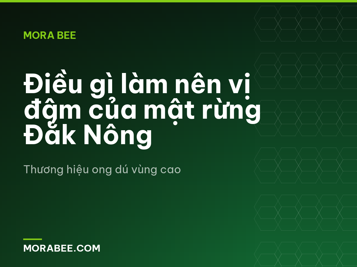 Điều gì làm nên vị đậm của mật rừng Đắk Nông