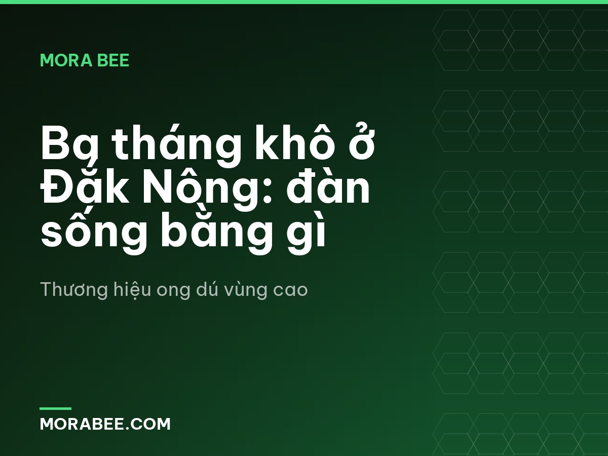 Ba tháng khô ở Đắk Nông: đàn sống bằng gì