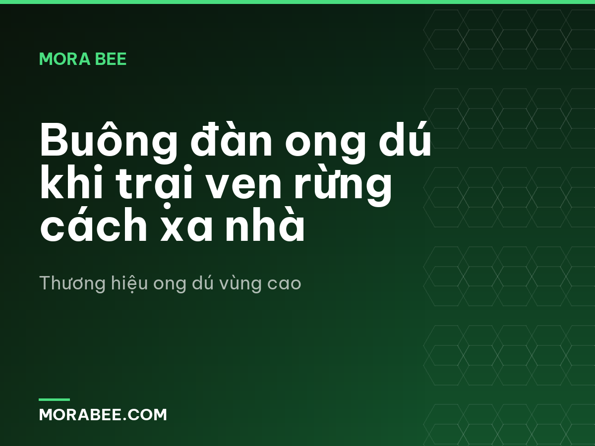 Buông đàn ong dú khi trại ven rừng cách xa nhà