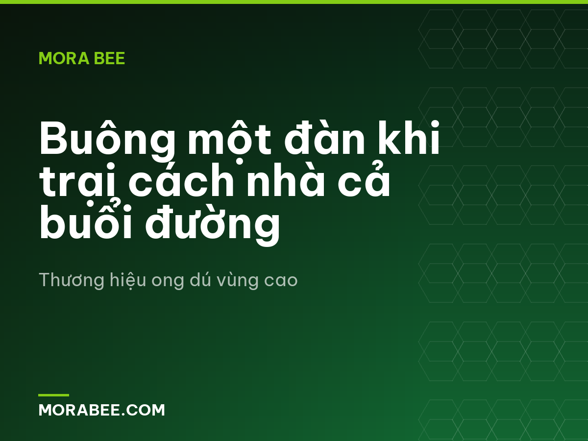 Buông một đàn khi trại cách nhà cả buổi đường