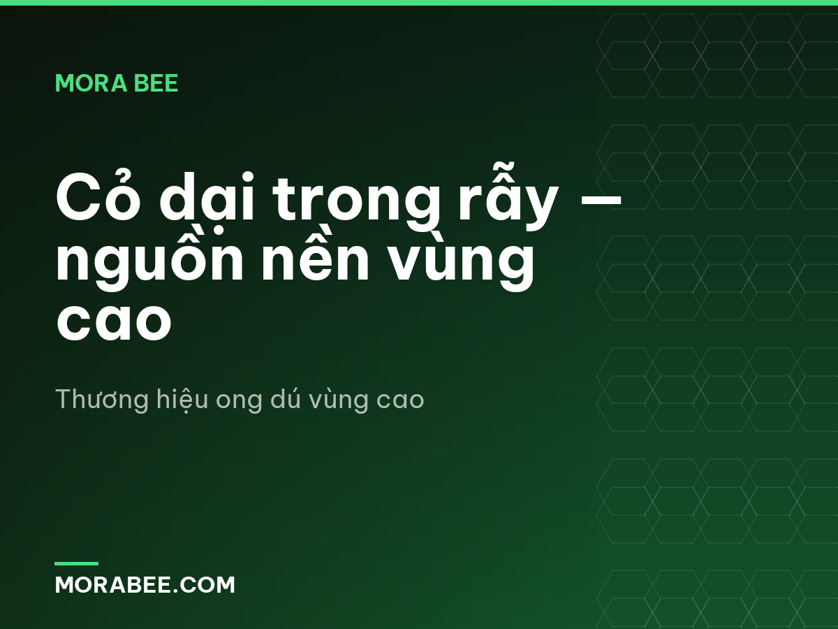 Cỏ dại trong rẫy — nguồn nền vùng cao