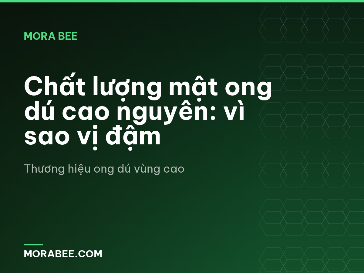 Chất lượng mật ong dú cao nguyên: vì sao vị đậm