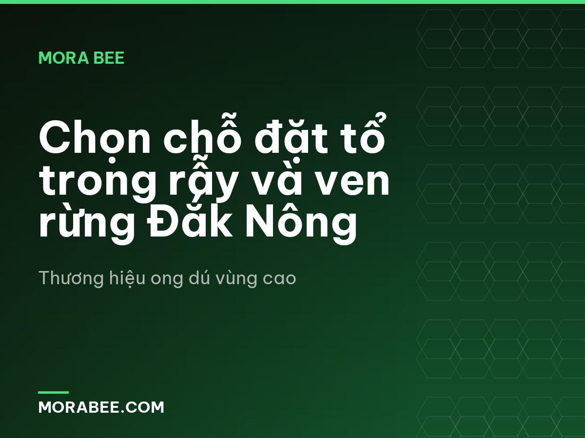 Chọn chỗ đặt tổ trong rẫy và ven rừng Đắk Nông