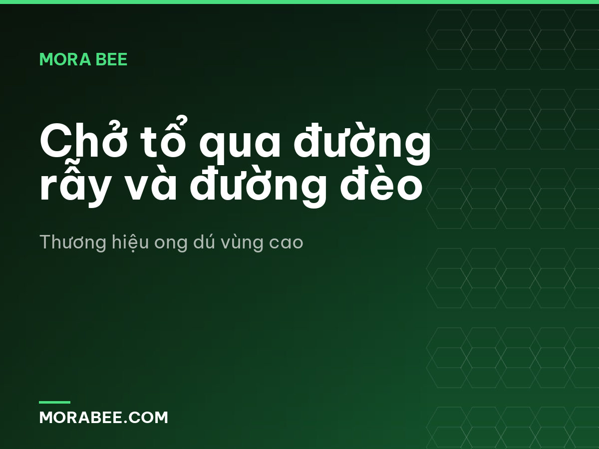 Chở tổ qua đường rẫy và đường đèo