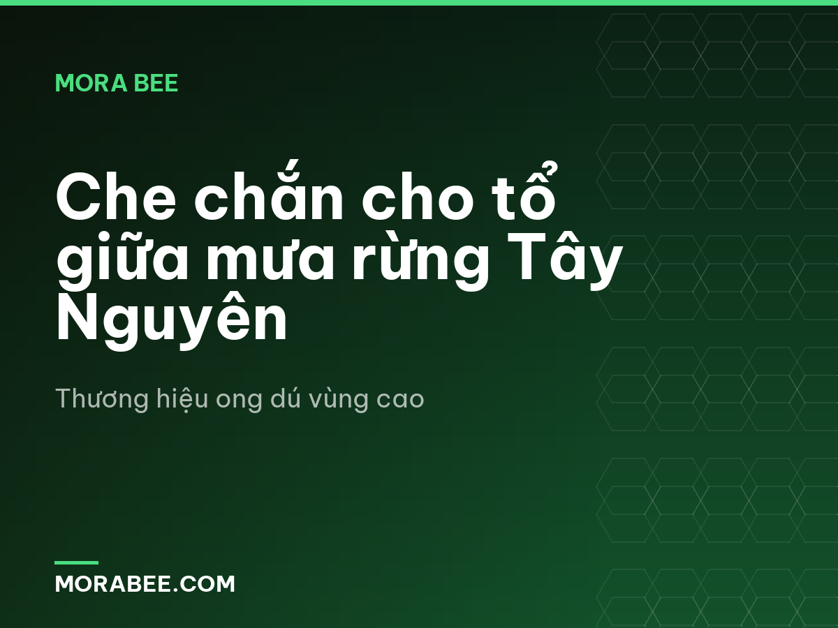 Che chắn cho tổ giữa mưa rừng Tây Nguyên