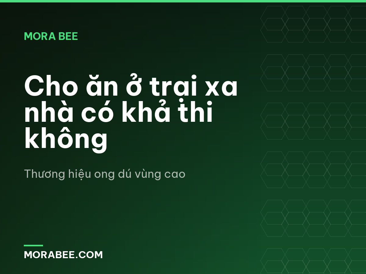 Cho ăn ở trại xa nhà có khả thi không