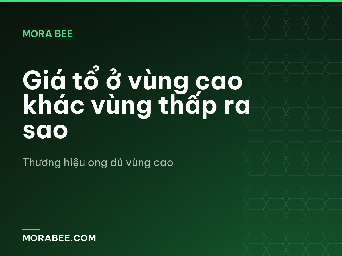 Giá tổ ở vùng cao khác vùng thấp ra sao