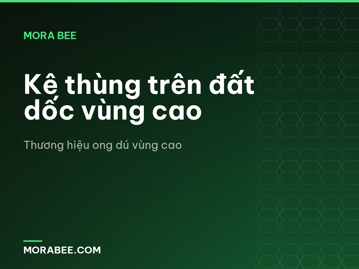 Kê thùng trên đất dốc vùng cao