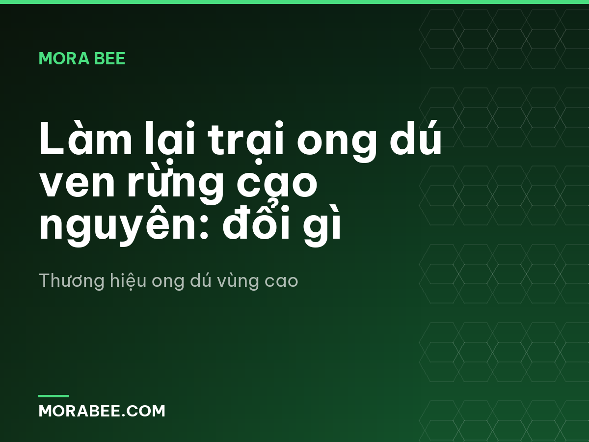 Làm lại trại ong dú ven rừng cao nguyên: đổi gì