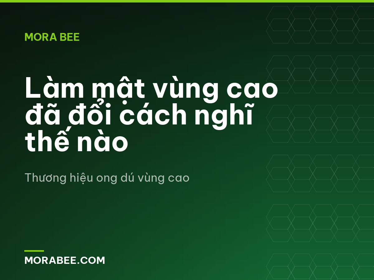 Làm mật vùng cao đã đổi cách nghĩ thế nào