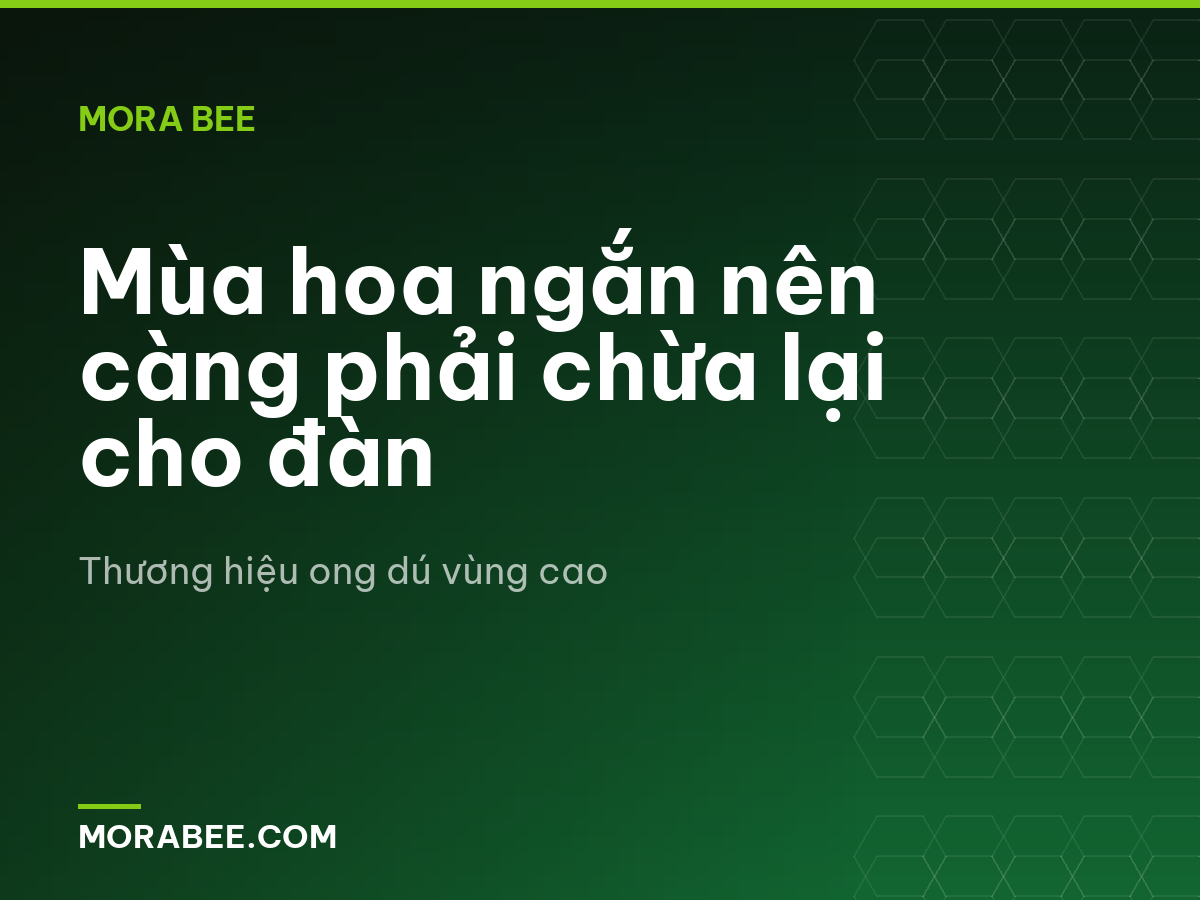 Mùa hoa ngắn nên càng phải chừa lại cho đàn