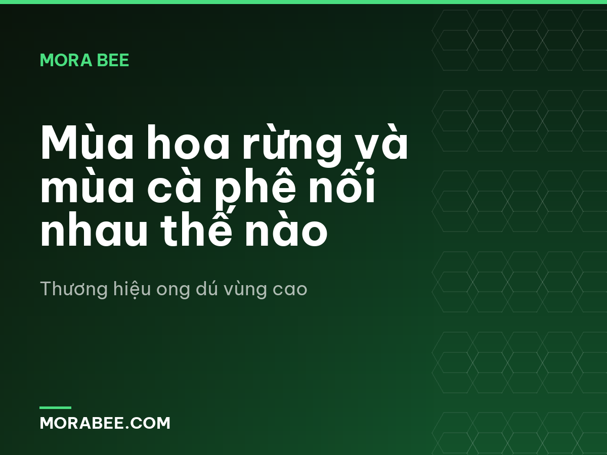 Mùa hoa rừng và mùa cà phê nối nhau thế nào