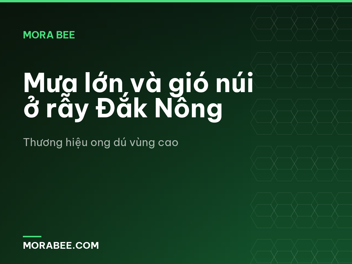 Mưa lớn và gió núi ở rẫy Đắk Nông