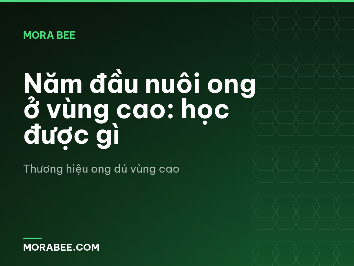 Năm đầu nuôi ong ở vùng cao: học được gì