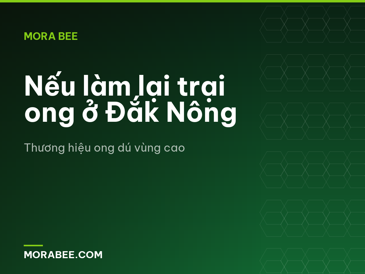 Nếu làm lại trại ong ở Đắk Nông