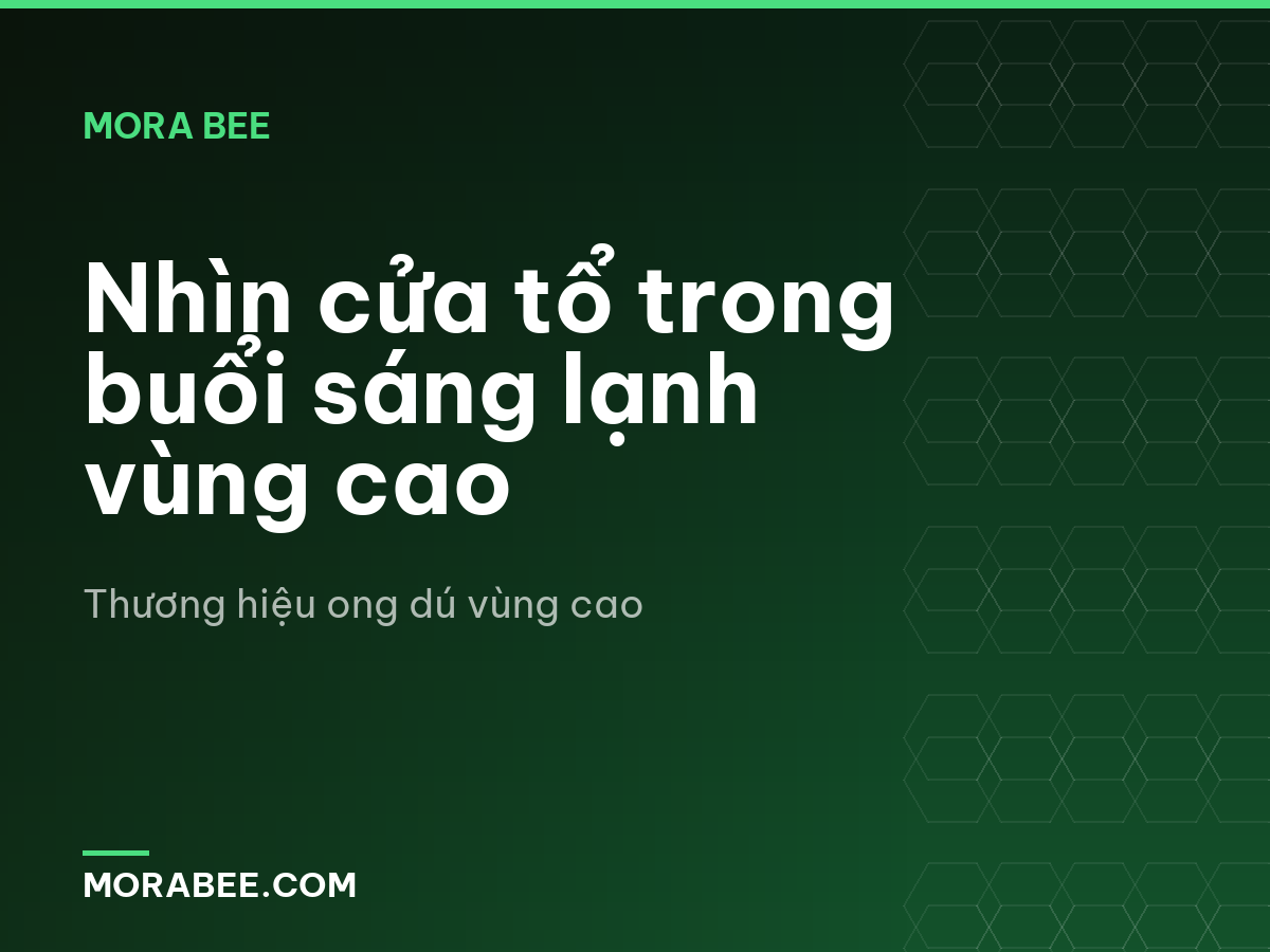 Nhìn cửa tổ trong buổi sáng lạnh vùng cao