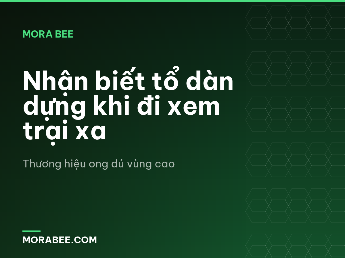 Nhận biết tổ dàn dựng khi đi xem trại xa