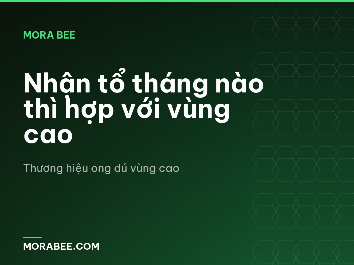 Nhận tổ tháng nào thì hợp với vùng cao