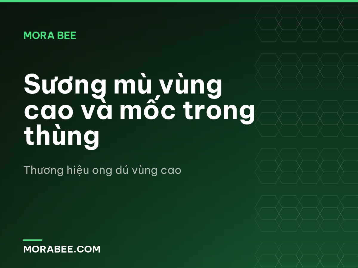 Sương mù vùng cao và mốc trong thùng