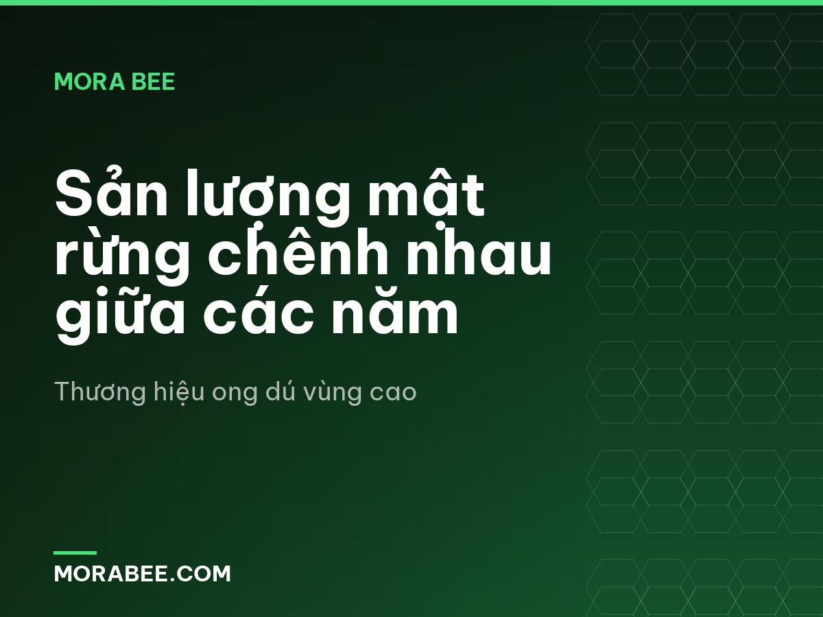 Sản lượng mật rừng chênh nhau giữa các năm