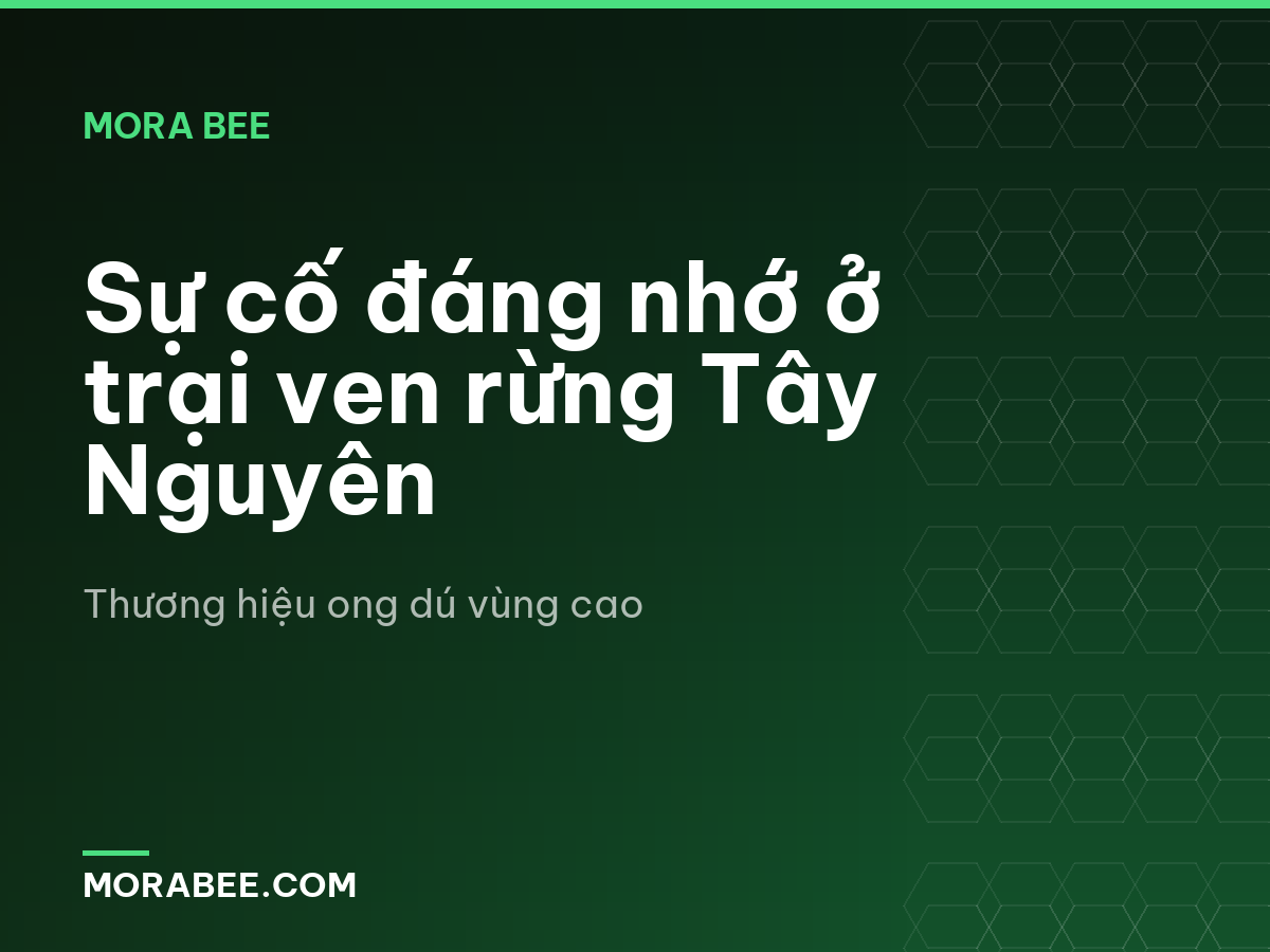 Sự cố đáng nhớ ở trại ven rừng Tây Nguyên