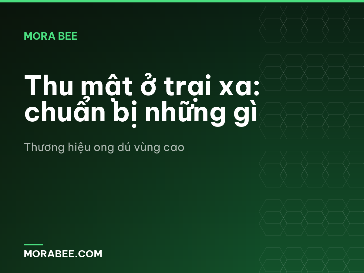 Thu mật ở trại xa: chuẩn bị những gì