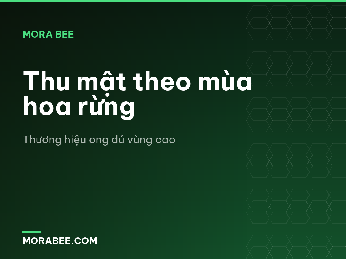 Thu mật theo mùa hoa rừng