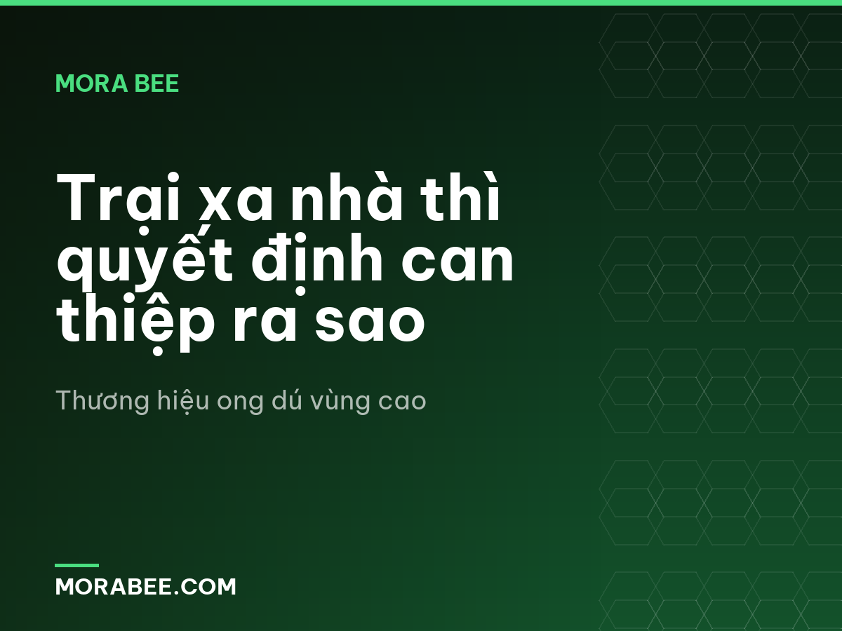 Trại xa nhà thì quyết định can thiệp ra sao
