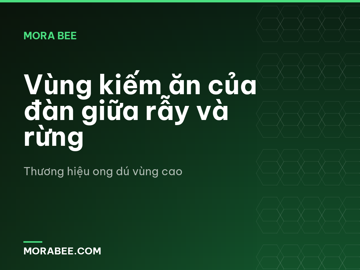 Vùng kiếm ăn của đàn giữa rẫy và rừng