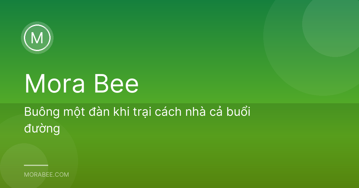 Buông một đàn khi trại cách nhà cả buổi đường