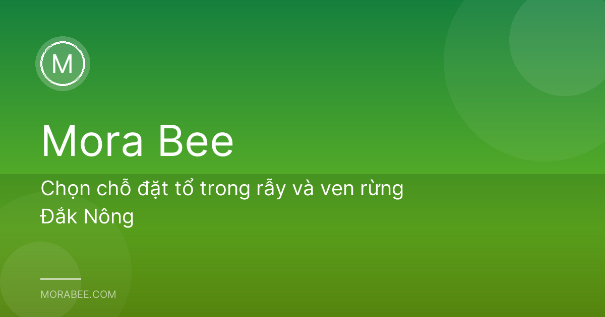 Chọn chỗ đặt tổ trong rẫy và ven rừng Đắk Nông