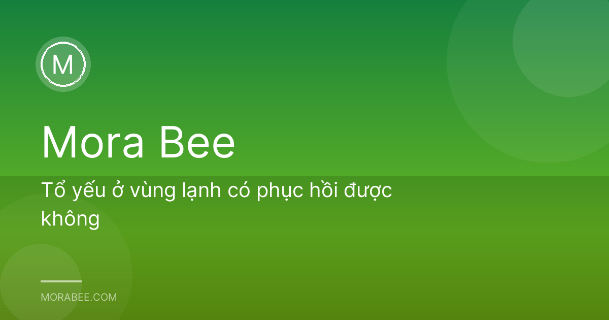 Tổ yếu ở vùng lạnh có phục hồi được không