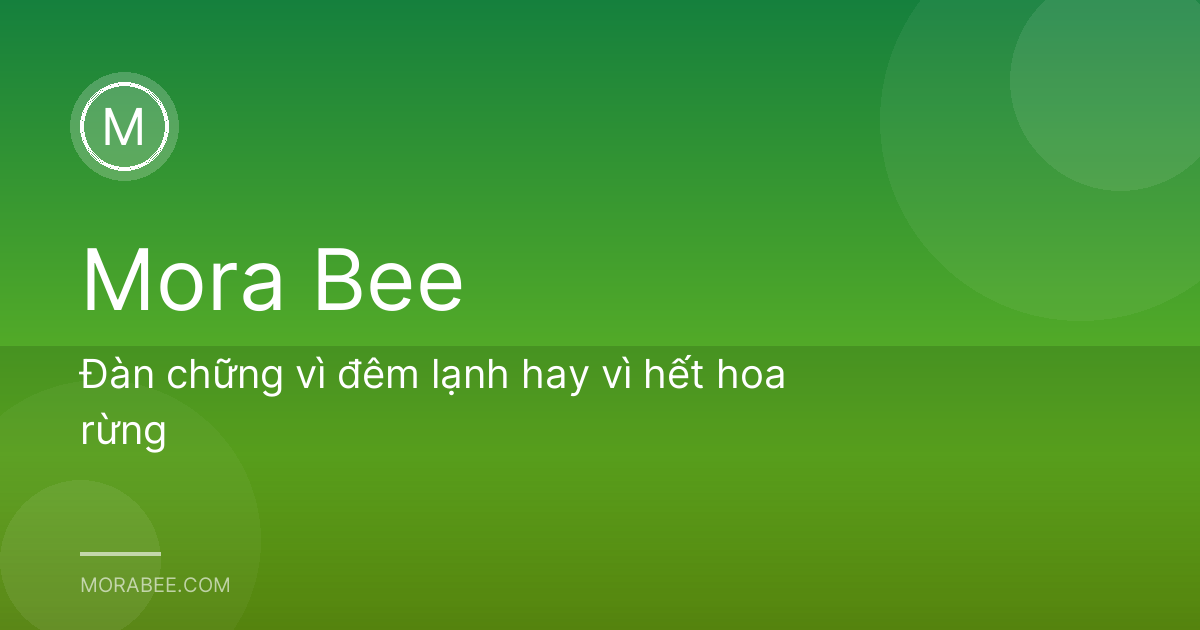 Đàn chững vì đêm lạnh hay vì hết hoa rừng