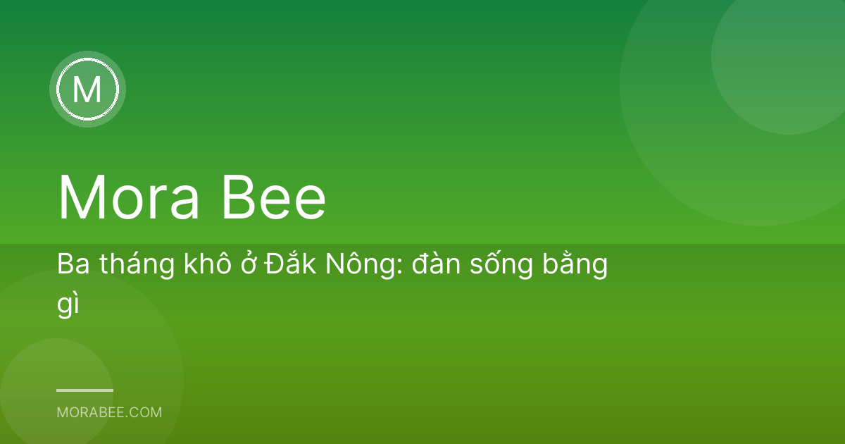 Ba tháng khô ở Đắk Nông: đàn sống bằng gì