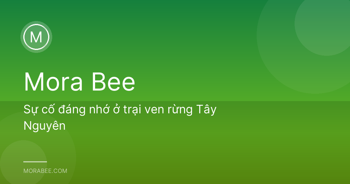 Sự cố đáng nhớ ở trại ven rừng Tây Nguyên