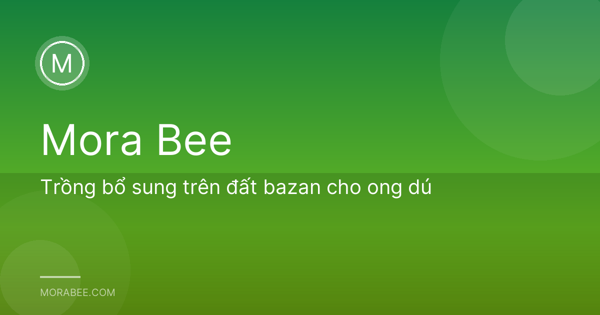 Trồng bổ sung trên đất bazan cho ong dú