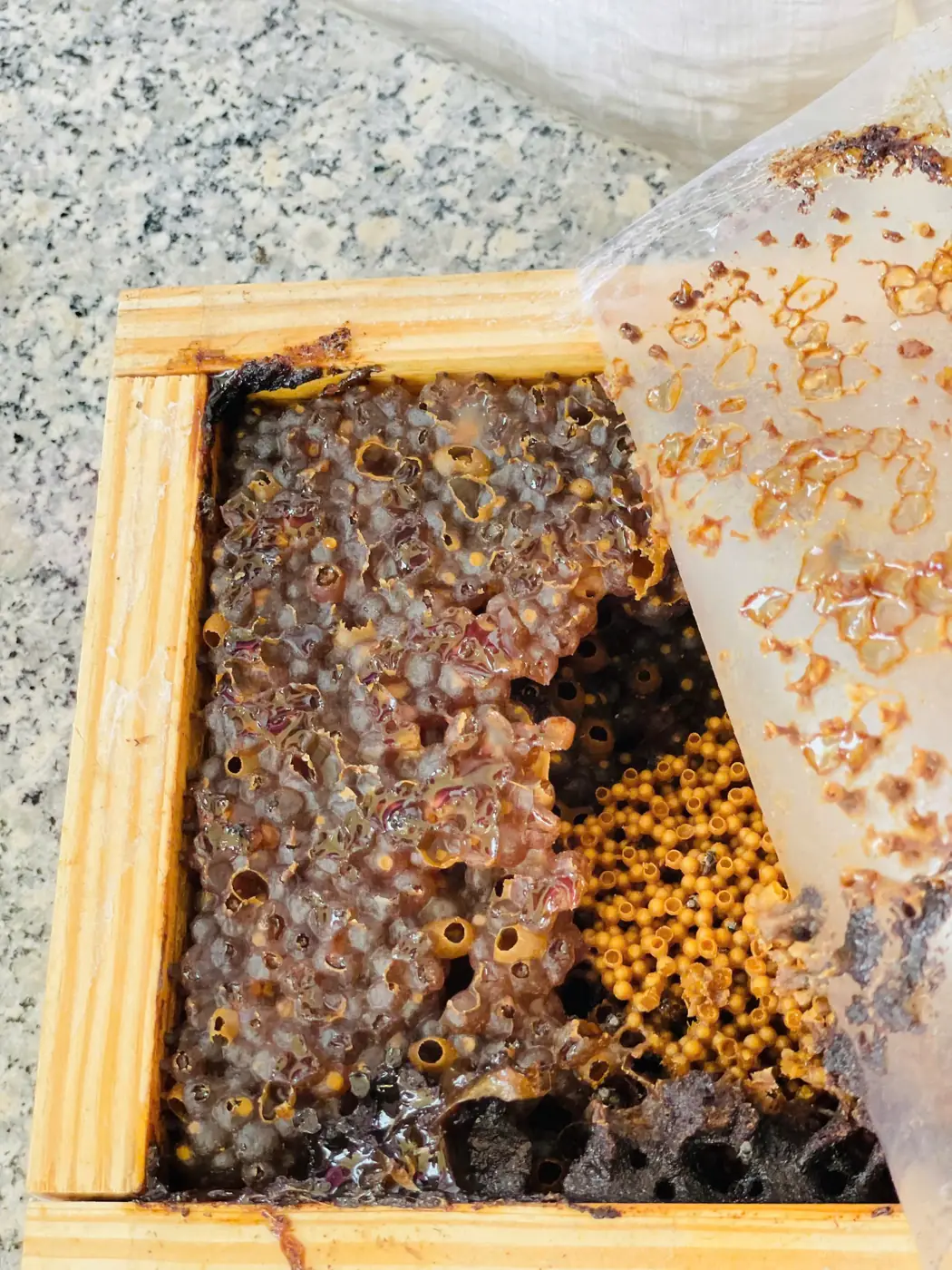 Why “Mộc”, and why stingless bee honey